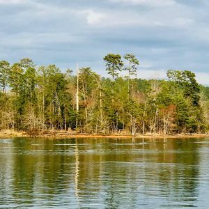 Meet your Posher, Laurie